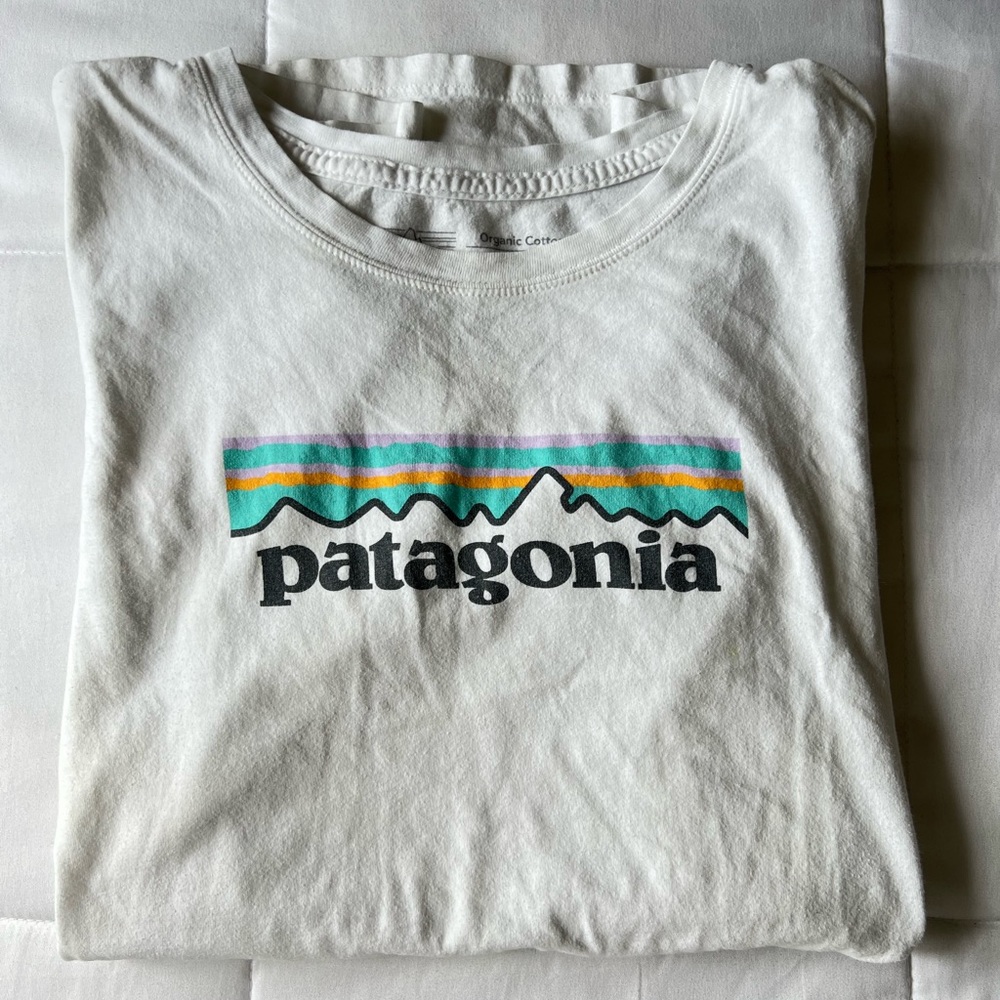 Patagonia Logo Tee